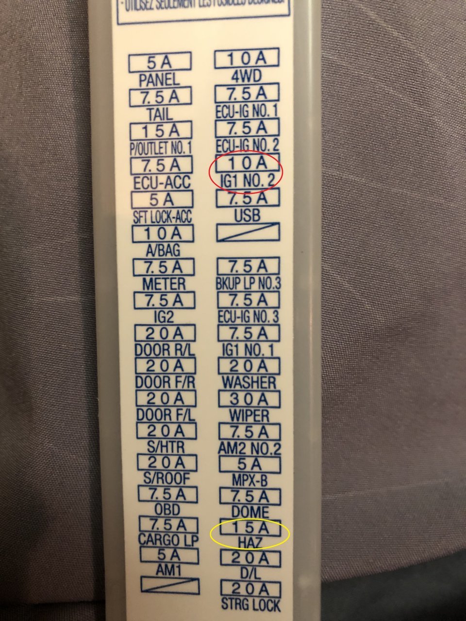 Fuse Circled.jpg
