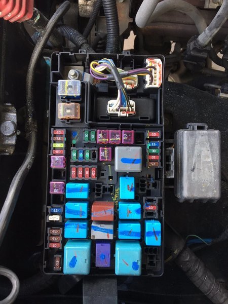 fuse.jpg