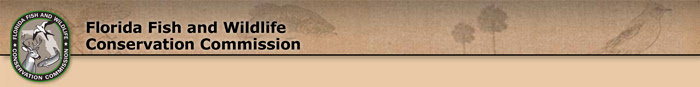 fwc-banner_0edc7b70da4537685d7f6379f604240aa2b064b2.jpg