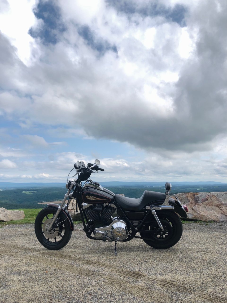 FXR2.jpg