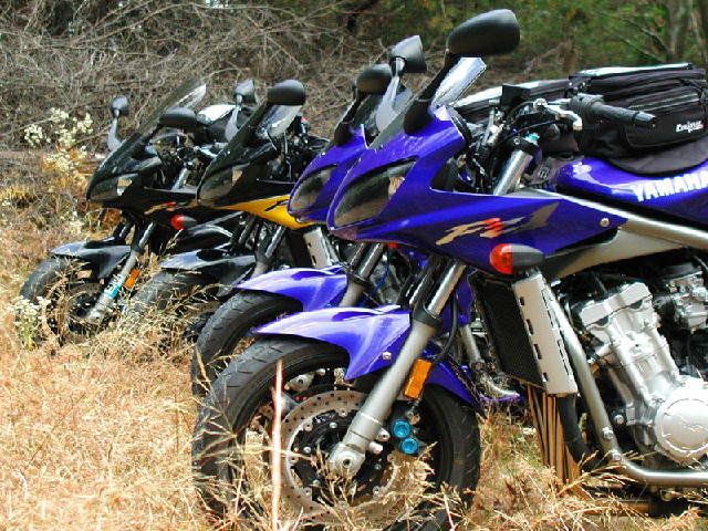 FZ1 Grazing.jpg