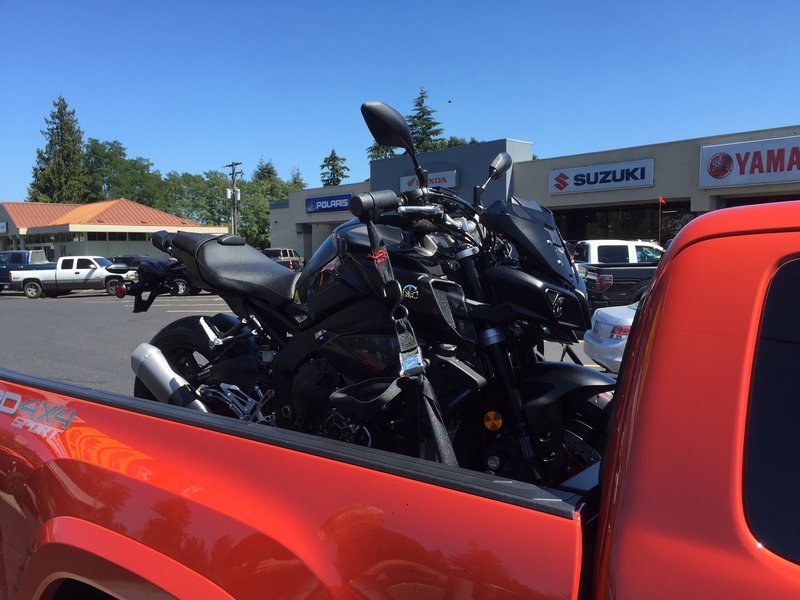 FZ10.jpg