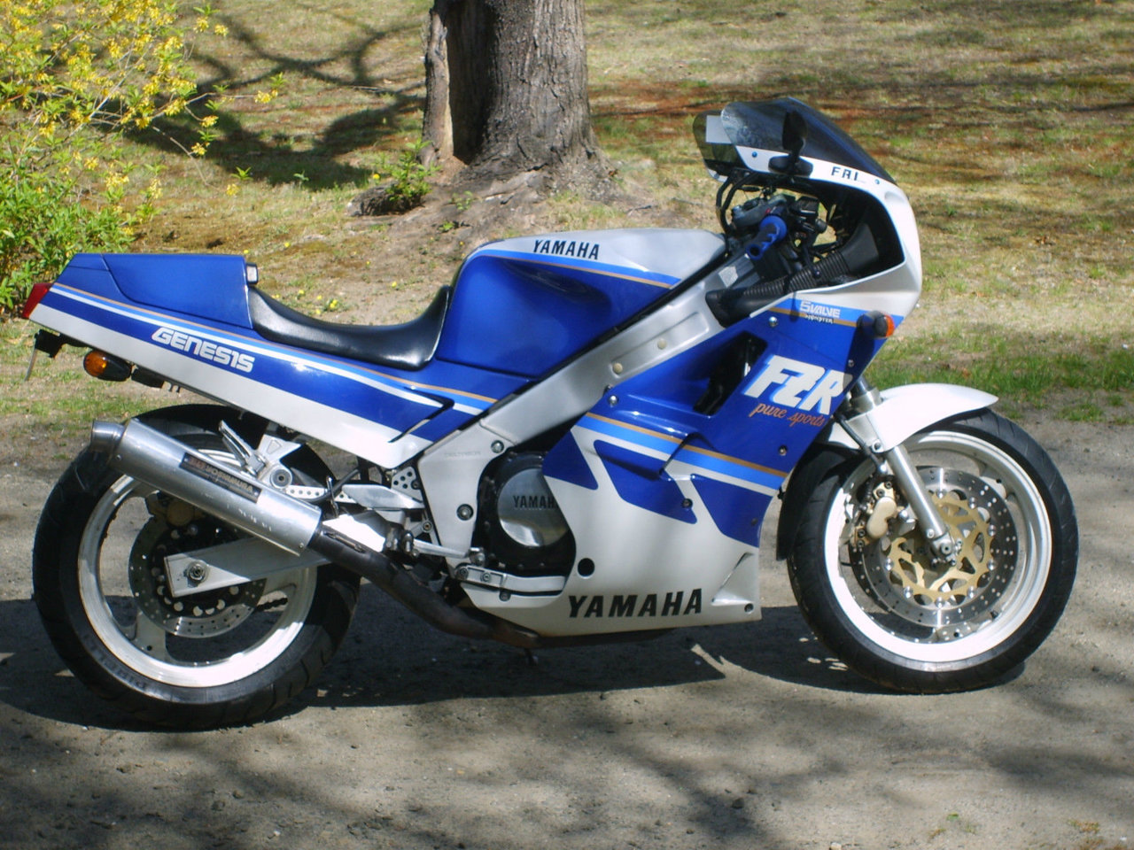 FZR1000_rightside.jpg