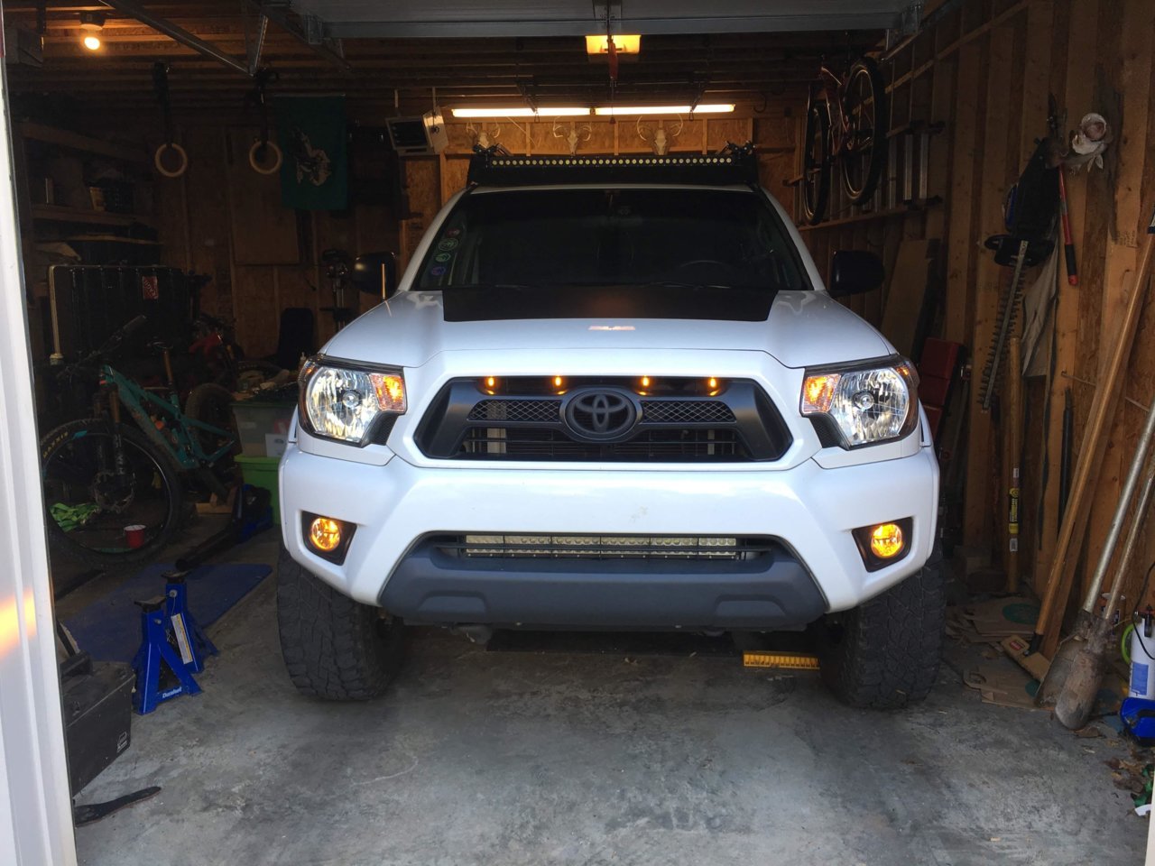 g036fv3mx2521.jpg