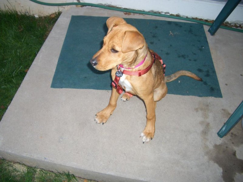 Gabby 028.jpg