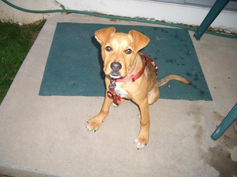 Gabby 029.jpg