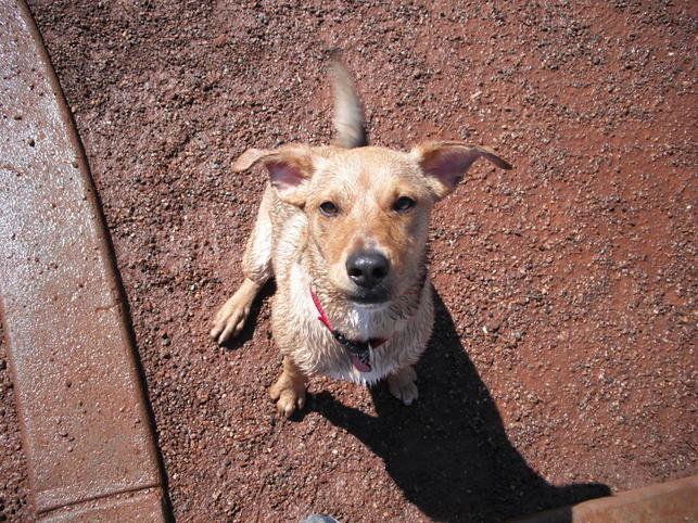 Gabby at Lake 004.jpg