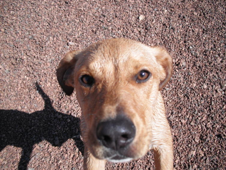 Gabby at Lake 006.jpg