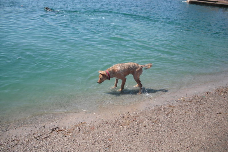 Gabby at Lake 014.jpg