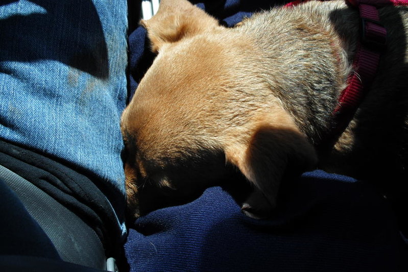 Gabby at Lake 025.jpg