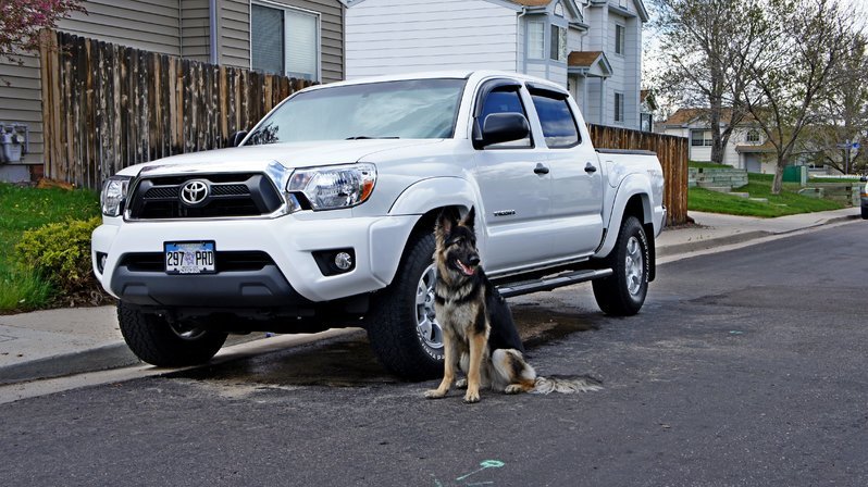 Gabby TRD 2.jpg