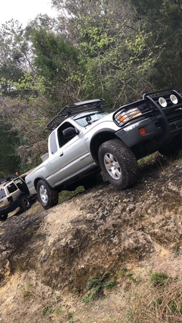 Gainesville crawling.jpg