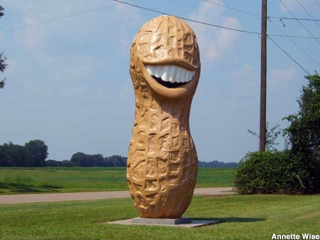 GAPLApeanut_prov02_640x480.jpg
