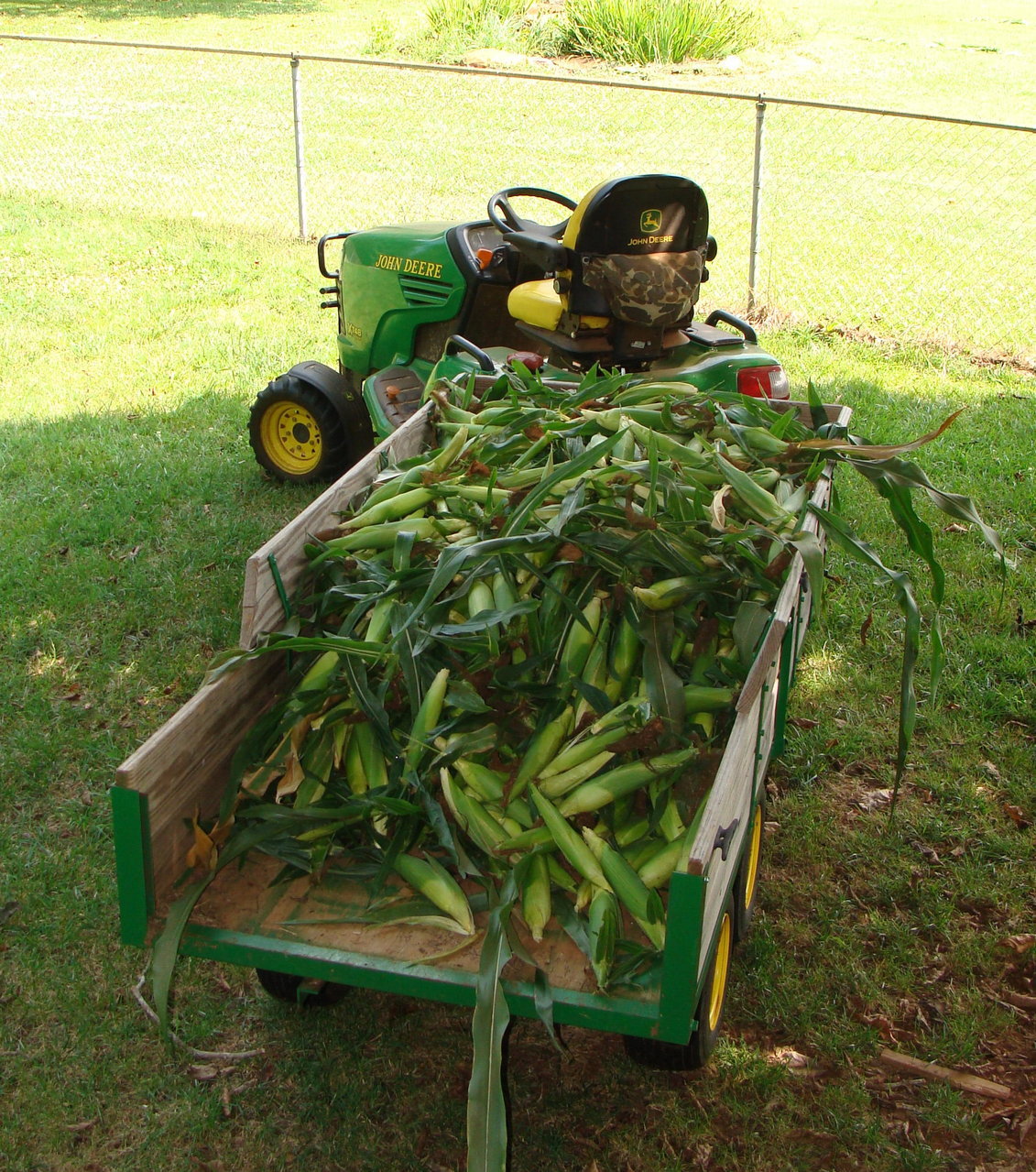 garden and corn harvest 7-4-2012 001.jpg
