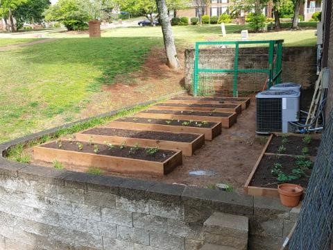Garden.jpg