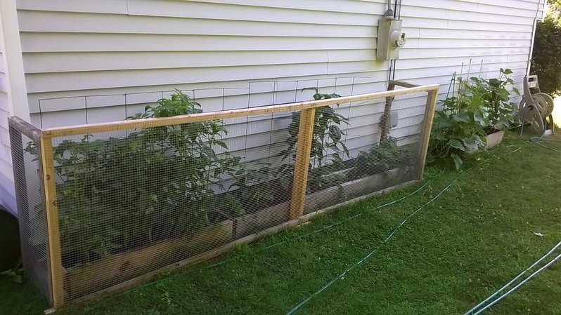 garden.jpg