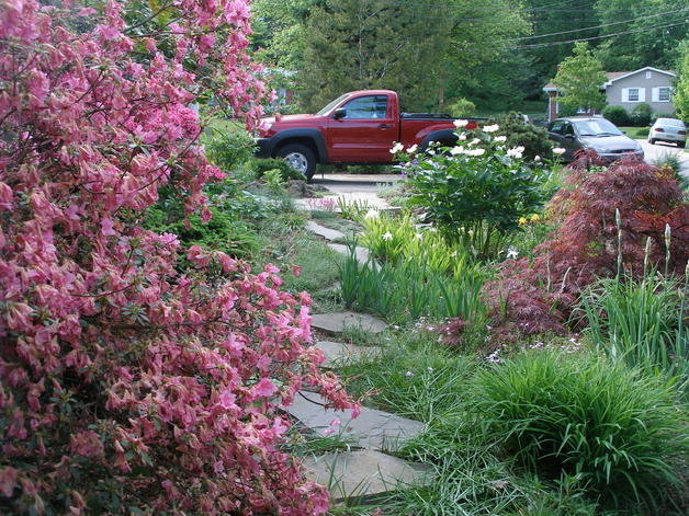 garden.May9,2009 035.jpg
