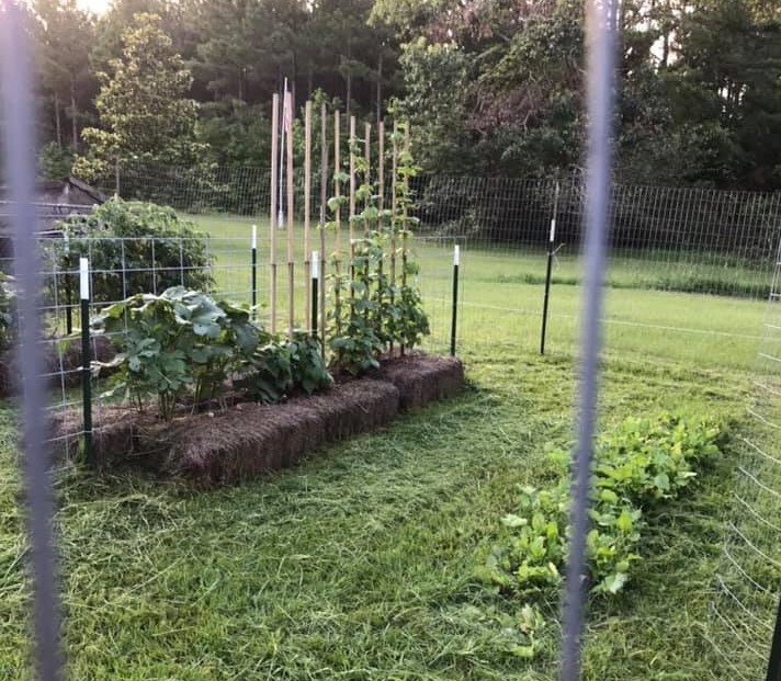 garden1.jpg