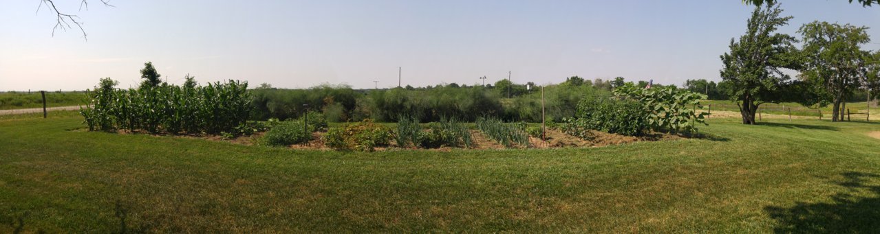 garden2016.jpg