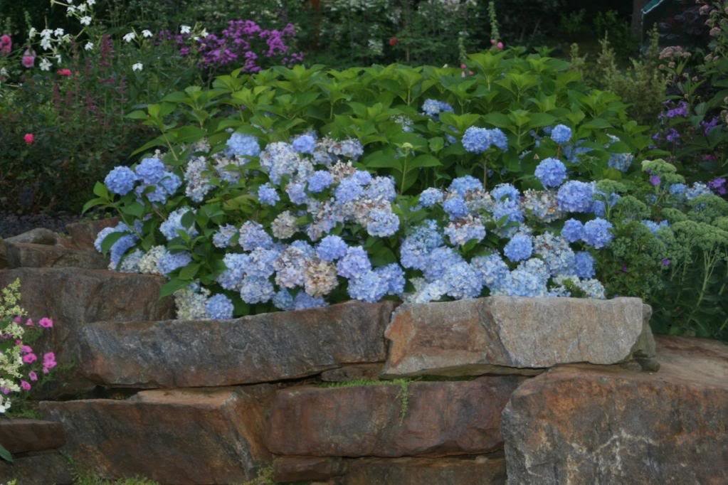 garden3_bbbefe3139589085482bade08b99c54a1c168636.jpg
