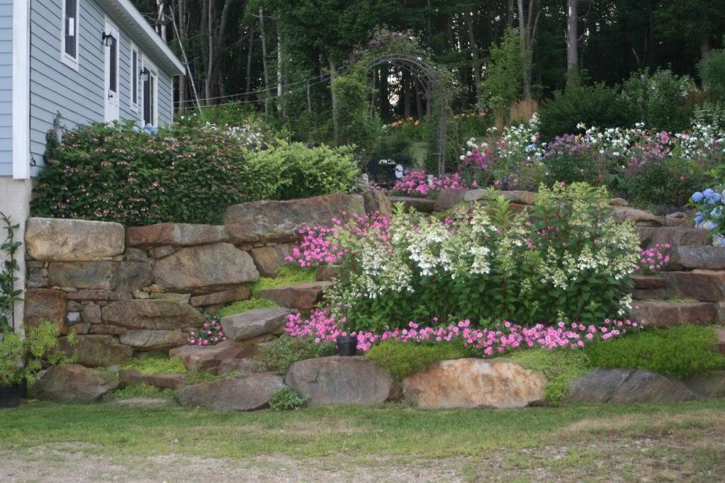 Garden_1_5e84fbb08a661304cf24452b7e932affbe018f3a.jpg