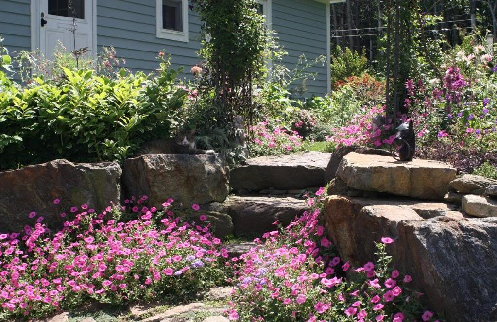 Garden_9_ee4e89564c23d7f9c6d21a7a392f539ae0ab3f3c.jpg