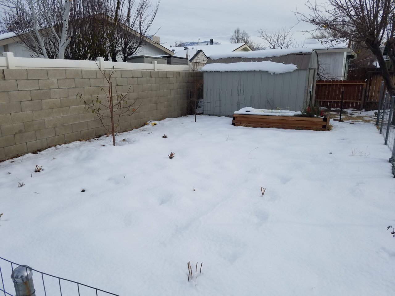 gardensnow.jpg