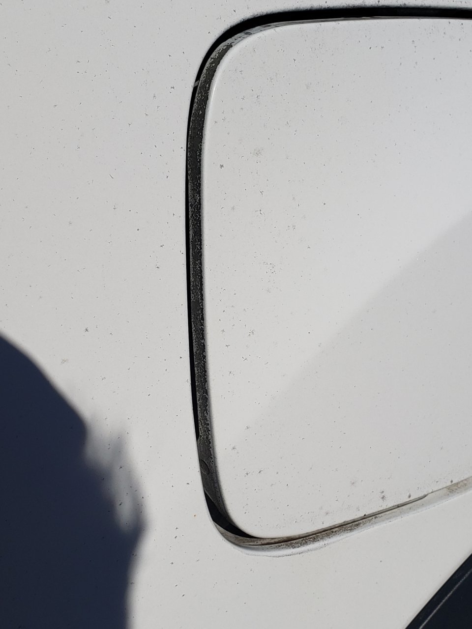 Gas Cap Cover.jpg