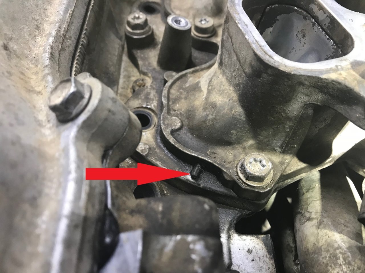 gasket.jpg