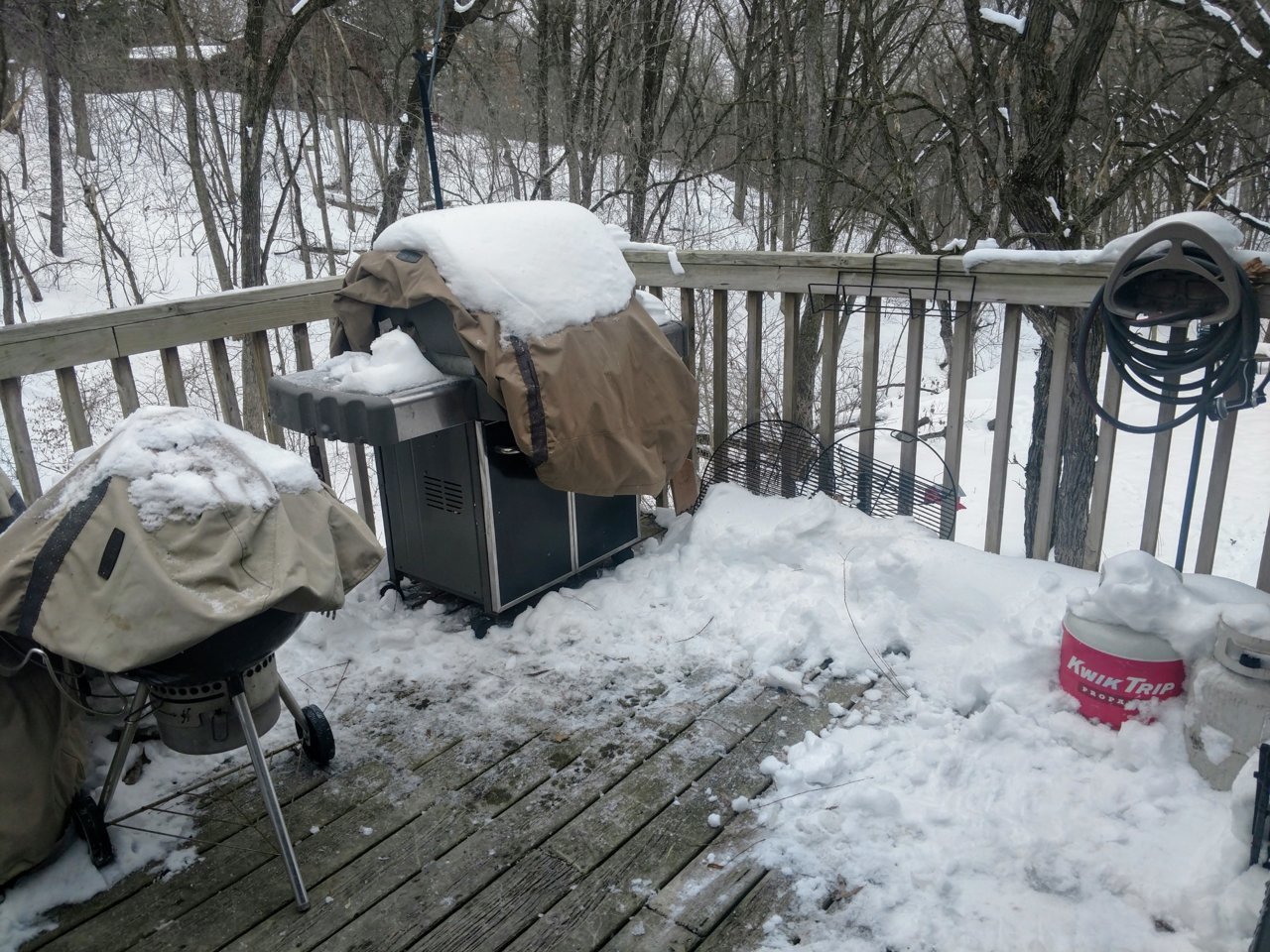gasser snow 2.jpg