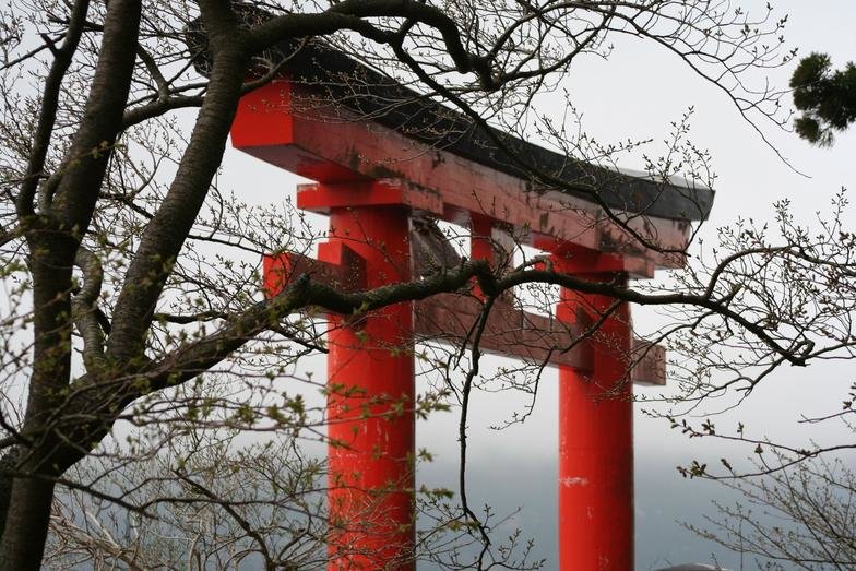gate.jpg