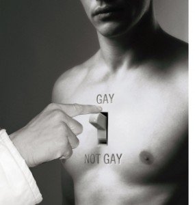 gay-not-gay-285x300.jpg