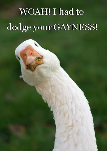 gayness_5b16db26354ab2acc7606ca591cf567e70f4b3d7.jpg