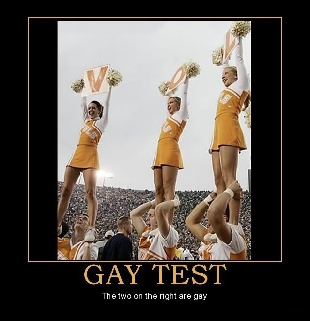 GayTest3_cdb4096a65f1345ad8c4507d263e7125e58be228.jpg