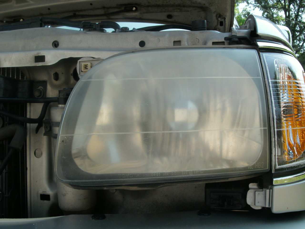 GEDC0446.jpg