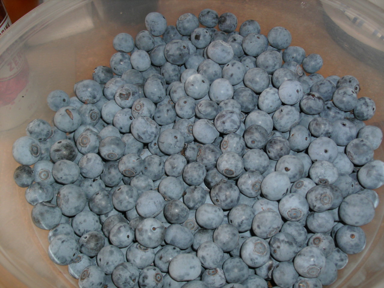 GEDC0493.jpg