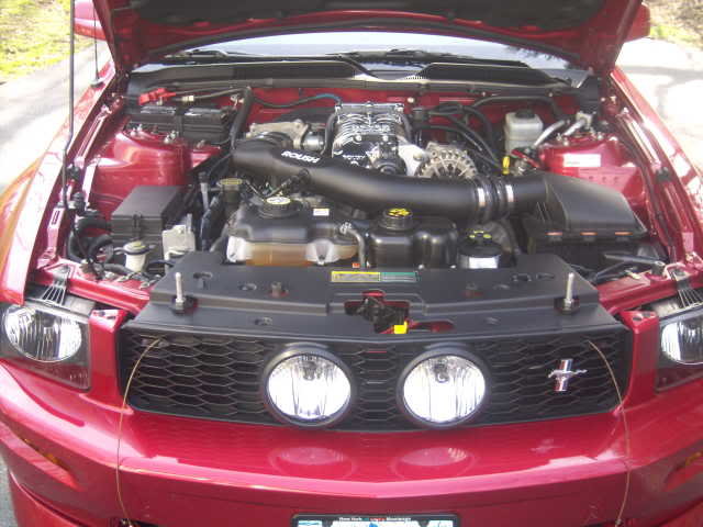 GEDC1902_c1ba413ed4468d9c55199b4f87fbf83e2d6f6675.jpg