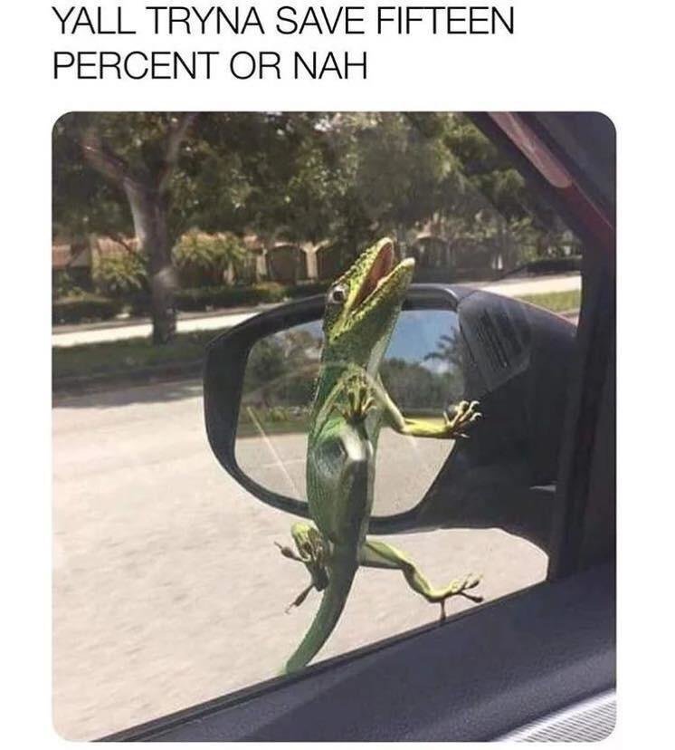 Geico_Meme.jpg