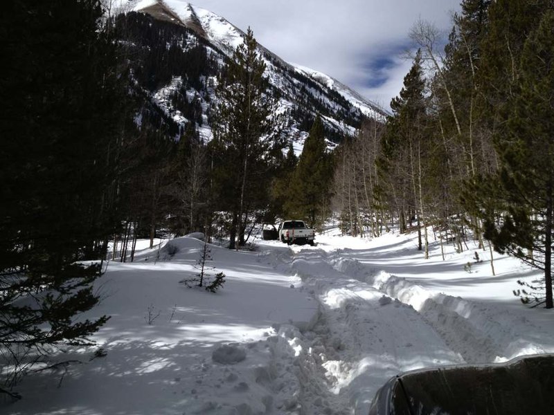 geneva creek 2.jpg