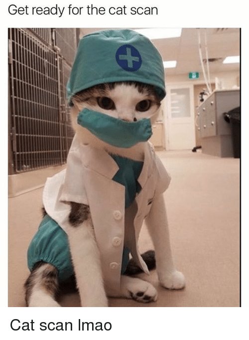 get-ready-for-the-cat-scan-cat-scan-lmao-9928765.jpg