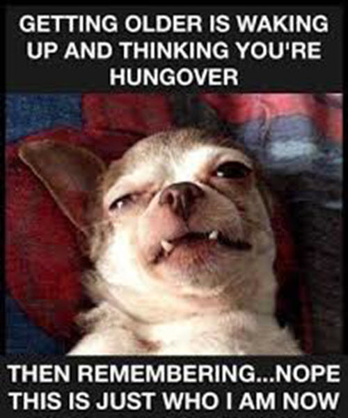 getting-old-hungover-meme.jpg