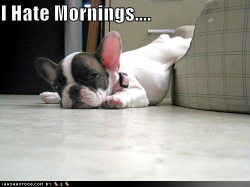 Getting+out+of+bed+like+not+oc_dc7da1_5025220.jpg
