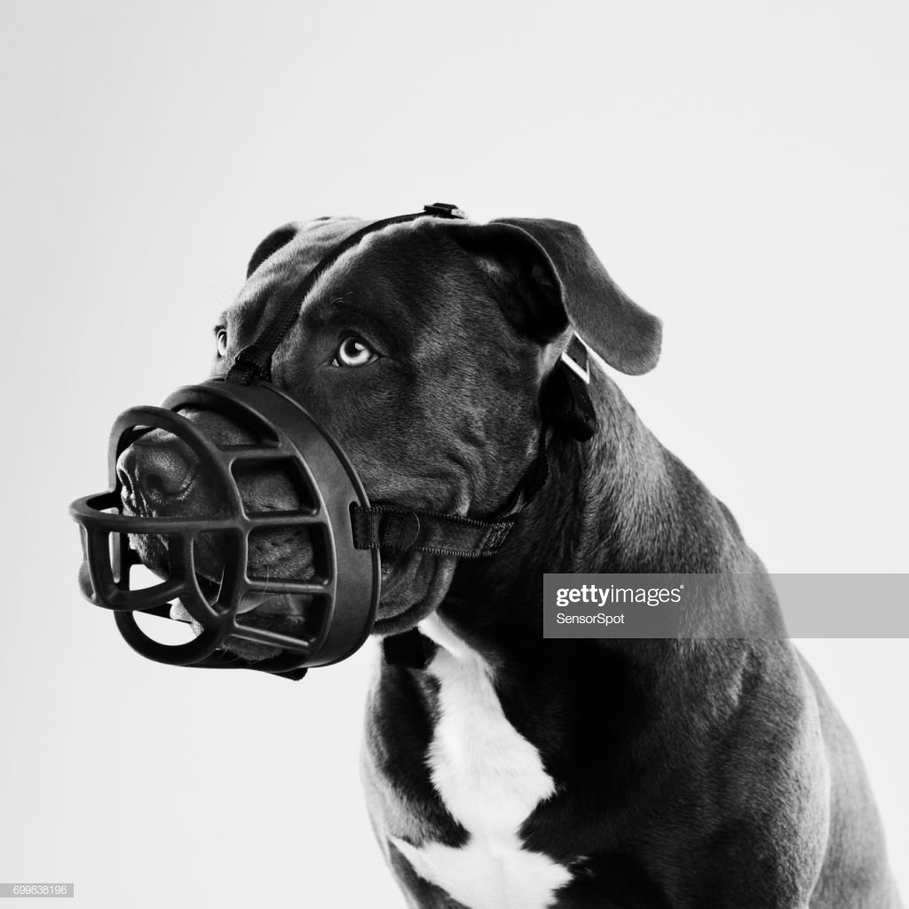 gettyimages-699838196-1024x1024.jpg