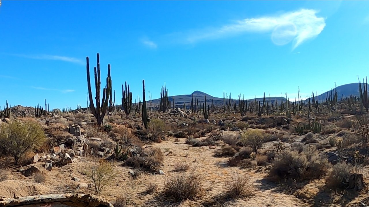 GH010135_1613084023845.jpg