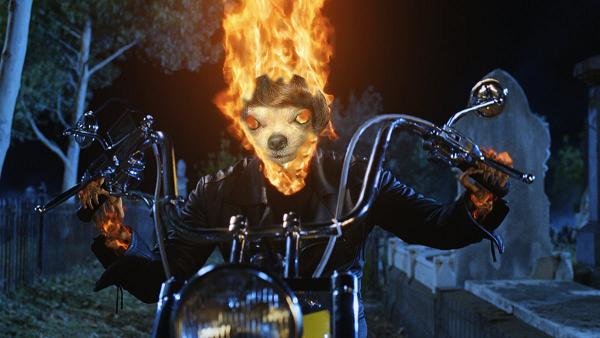 ghostrider.jpg