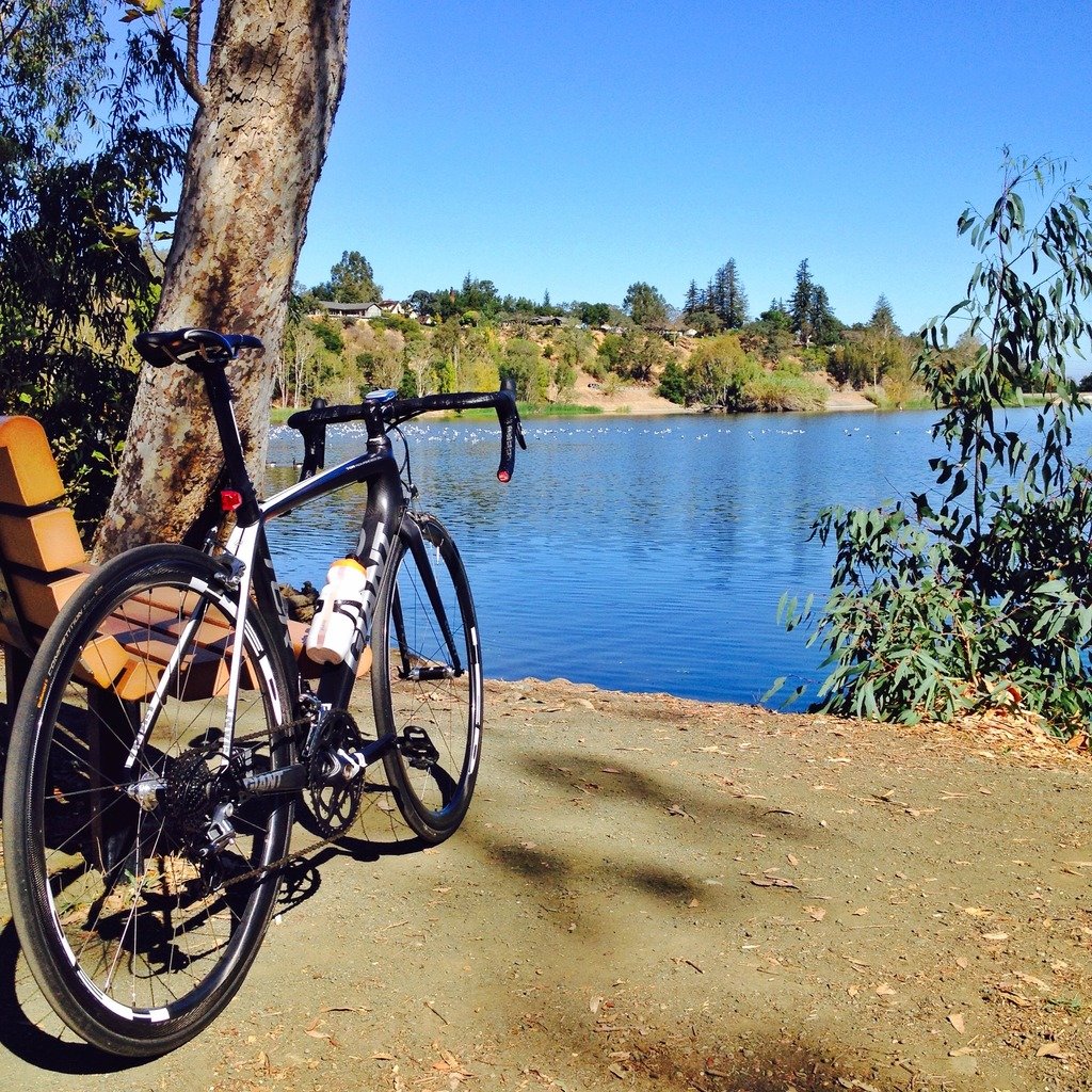 Giant_TCR_Vasona_1b18513c5591c4c43d478aed9d0650e2f6f4fb8d.jpg