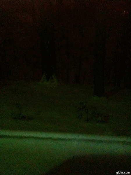 gickrcom_eae1cde7-31c1-e9b4-c994-9962f7f_d5e4f9a499a7eeaa71e49472086d28737bd0283a.gif