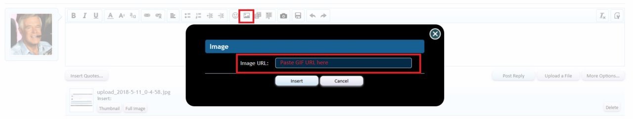 Gif.jpg