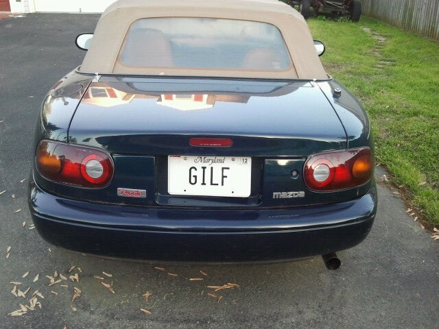 GILF.jpg