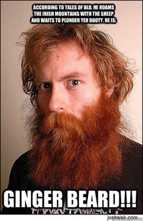 ginger-beard-meme-4053362160.jpg